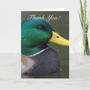 Agradecimiento Gracias tarjeta de felicitación Mallard Duck