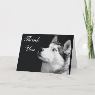 Agradecimiento Gracias Tarjeta de felicitación Siberian Husky