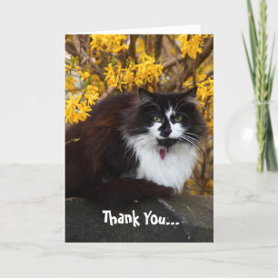 Agradecimiento Gracias tarjeta de saludo de Gato Otoño