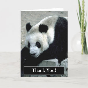 Agradecimiento Gracias tarjeta del oso de panda
