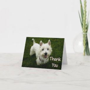 Agradecimiento Gracias, West Highland Terrier, tarjeta de perro p