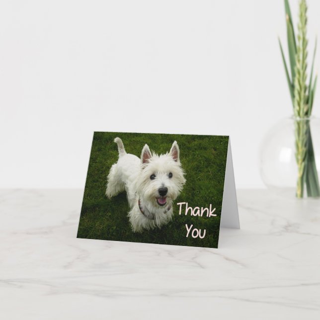Agradecimiento Gracias, West Highland Terrier, tarjeta de perro p (Anverso)