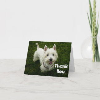 Agradecimiento Gracias, West Highland Terrier, tarjeta de perro p