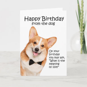 Agradecimiento Graciosa tarjeta de cumpleaños Corgi