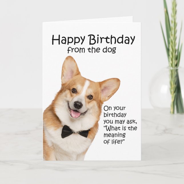 Agradecimiento Graciosa tarjeta de cumpleaños Corgi (Anverso)