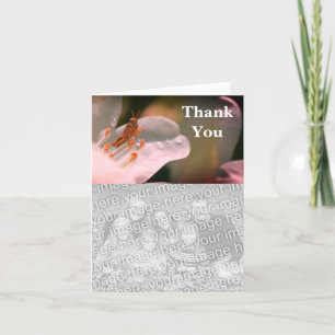 Agradecimiento Grasshopper On Azalea Gracias Tarjeta De Fotografí