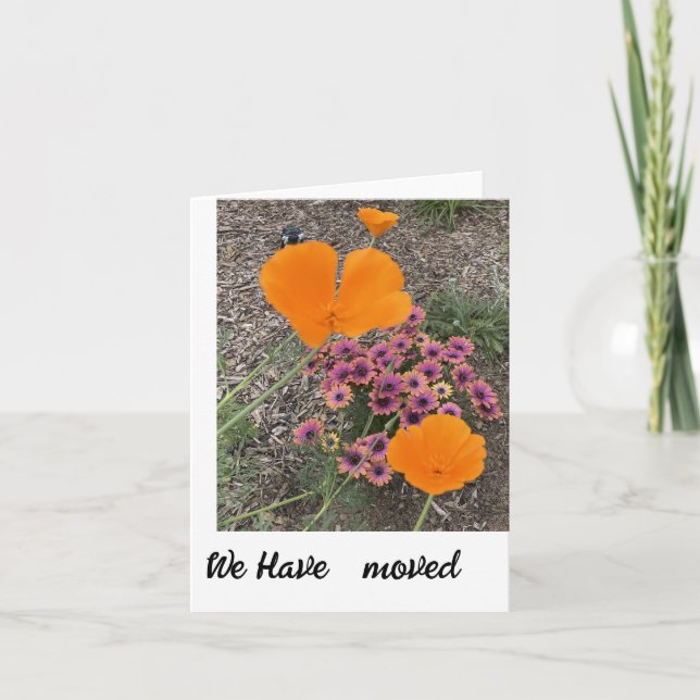 Agradecimiento Hemos movido una nueva tarjeta de notificación de  (Anverso)