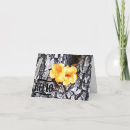 Agradecimiento Hola Tarjeta de Saludo en Blanco con Allamanda Ama