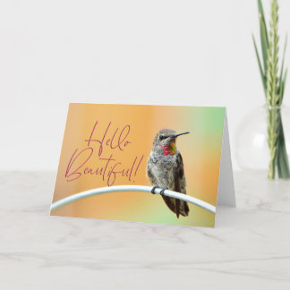Agradecimiento Hummingbird Foto de Pink Anna con una tarjeta prec