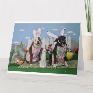 Agradecimiento Humorística tarjeta de Pascua para cualquiera,