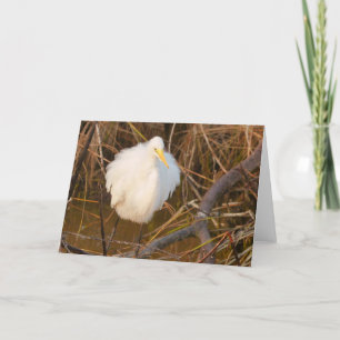 Agradecimiento Inspiración natural Tarjeta de ocasión Snowy Egret