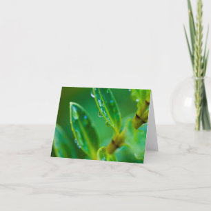 Agradecimiento Just Green - hojas después de la lluvia Tarjeta de