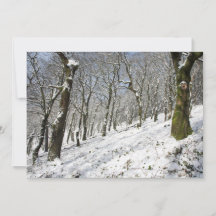 La tarjeta de invierno del bosque de Macclesfield