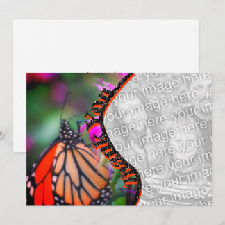 Agradecimiento Mariposa monarca Gracias tarjeta de foto