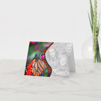 Agradecimiento Monarch Butterfly Su Foto Tarjeta de agradecimient