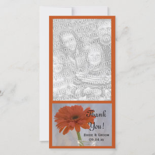 Agradecimiento Naranja Daisy en Boda Vase Gracias, tarjeta de fot