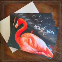 Naranja flamingo rosa foto tarjeta de agradecimien