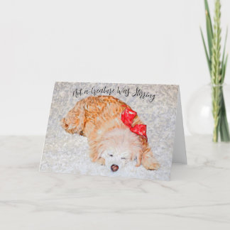 Agradecimiento No es una criatura que atraiga la tarjeta de vacac