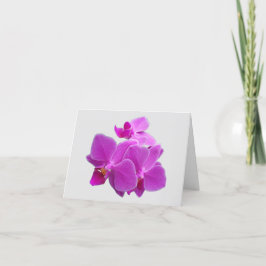 Agradecimiento Orquídeas de polillas de Fuchsia en una tarjeta de
