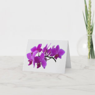 Agradecimiento Orquídeas de polillas de Fuchsia en una tarjeta de