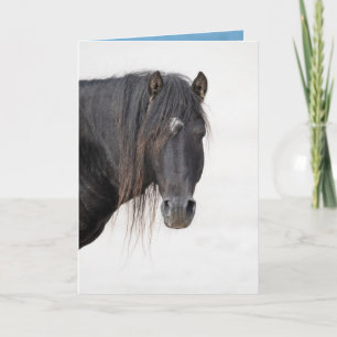 Agradecimiento Perfil de Sable Island Stallion - Tarjeta de felic