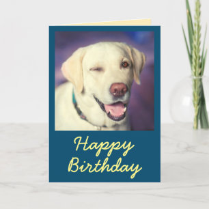 Agradecimiento Perro gracioso retro y tarjeta de cumpleaños feliz