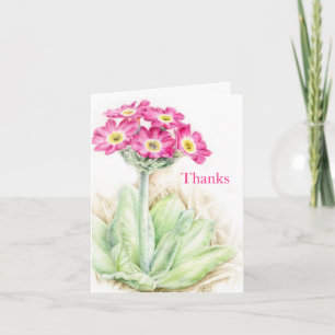 Agradecimiento Primula primrose boda rosa tarjeta de agradecimien
