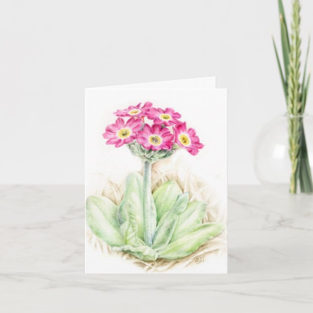 Agradecimiento Primula primrose rosa Tarjeta de arte botánico (Anverso)