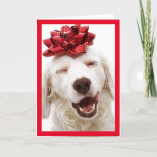 AGRADECIMIENTO RECUPERACIÓN BLANCA CON TARJETA DE AÑO NUEVO FELIZ