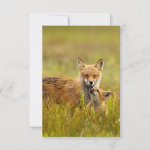 Agradecimiento Red Fox Kit busca tarjeta de saludo de mamá