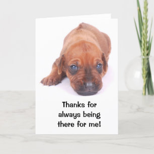 Agradecimiento Rhodesian Ridgeback LE AGRADECE tarjeta de