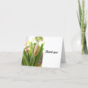 Agradecimiento Split Leaf Philodendron en la tarjeta de agradecim