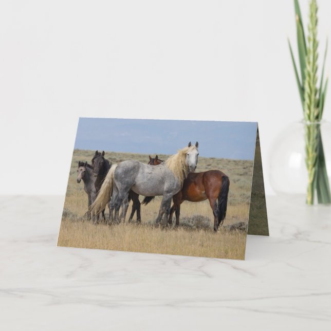 Agradecimiento Stallion gris salvaje protege su tarjeta de Mares (Anverso)