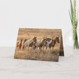 Agradecimiento Tahlequah y su tarjeta de saludo familiar