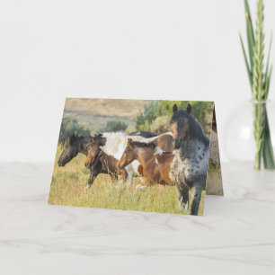 Agradecimiento Takini y su tarjeta de felicitación familiar