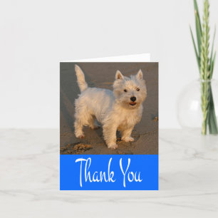 Agradecimiento Tarjeta azul en blanco de perro porcino porcino de