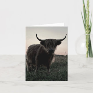 Agradecimiento Tarjeta blanca de 4" x 5,6" plegada Highland Highl