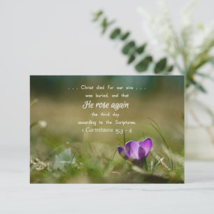 Agradecimiento Tarjeta Crocus de nuevo Rosa de Cristo