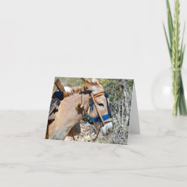 Agradecimiento Tarjeta de apunte en blanco de Donkey Baie d'Naran