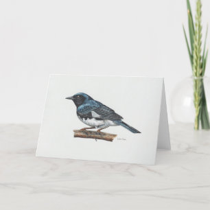 Agradecimiento Tarjeta de arte Blue Warbler con gotas negras