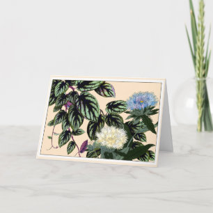 Agradecimiento Tarjeta de arte botánico Blue & White Stokes Aster