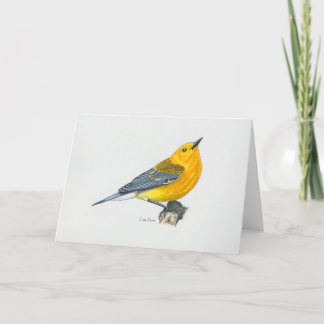 Agradecimiento Tarjeta de arte de Warbler Prothonotal