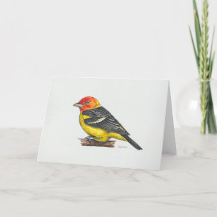 Agradecimiento Tarjeta de arte de Western Tanager