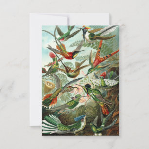 Agradecimiento Tarjeta de bienvenida Haeckel Hummingbirds para to