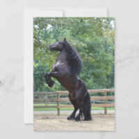 Tarjeta de caballo negra