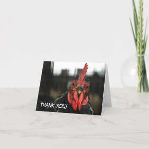 Agradecimiento TARJETA DE CHICKEN: Gracias