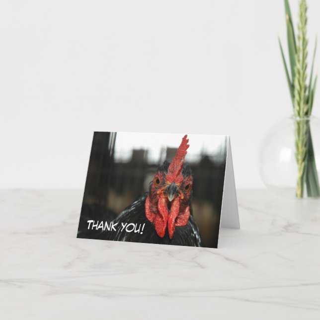 Agradecimiento TARJETA DE CHICKEN: Gracias (Anverso)