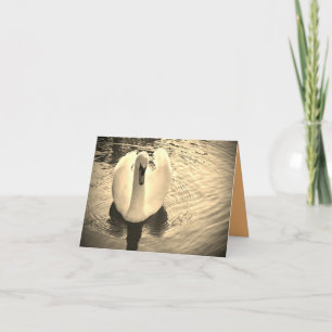 Agradecimiento Tarjeta de cisne en sepia