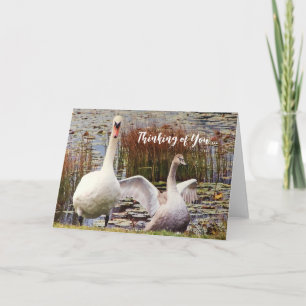 Agradecimiento Tarjeta de cisne pato en blanco pensando en ti