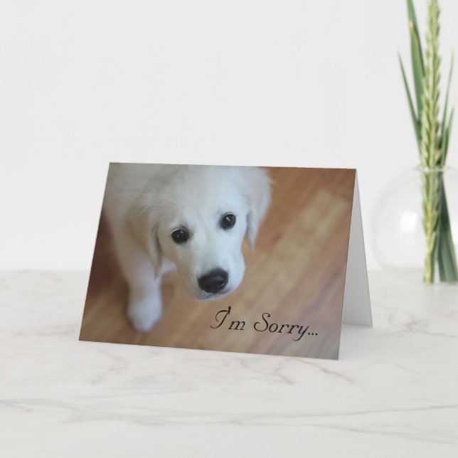 Agradecimiento Tarjeta de condolencia, lo siento para… (Anverso)